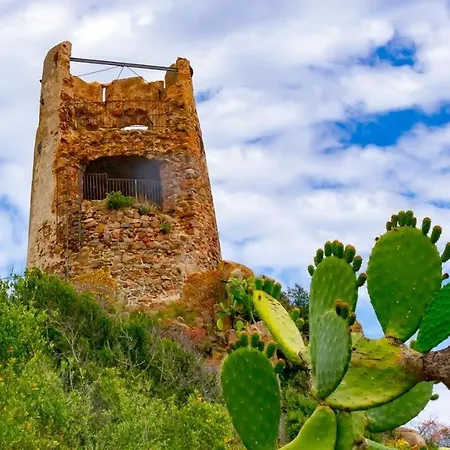 The Secret Patio باري ساردو