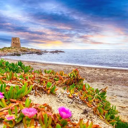 The Secret Patio شقة