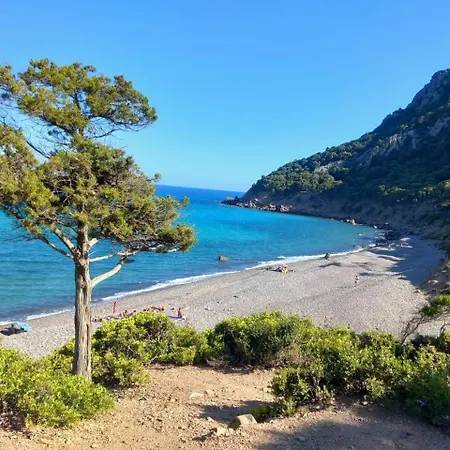 The Secret Patio باري ساردو