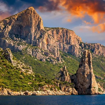 The Secret Patio * باري ساردو